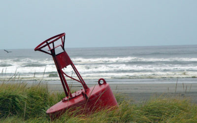 Where Did the Beach Go?